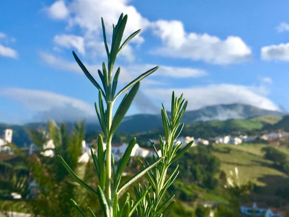 Azores Casa Atlantis 노르데스테 외부 사진